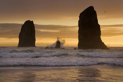 Wave and Sea Stacks- Sunset